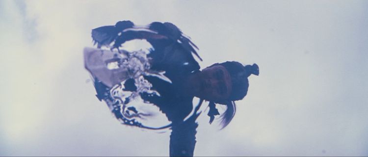 Screen shot
