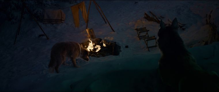 Screen shot