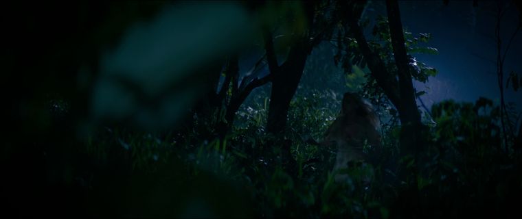 Screen shot